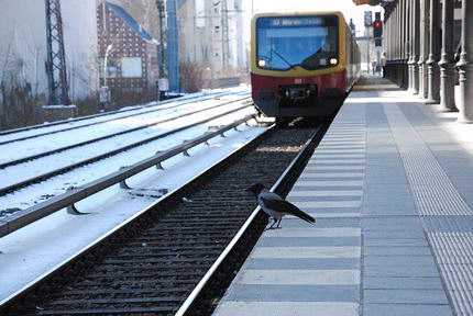 S-Bahn Unfall Bahnhof Hamburg Harburg