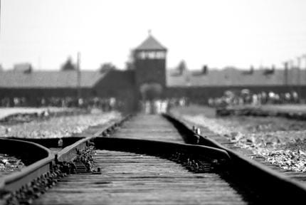 Birkenau Gerhard Richter