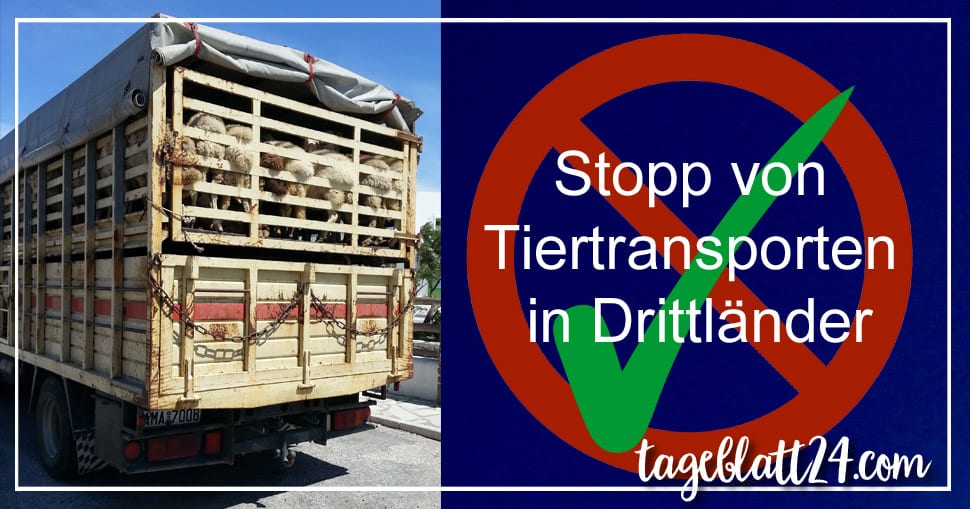 Stopp von Tiertransporten in Drittländer